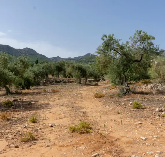 Жилой участок R3221725