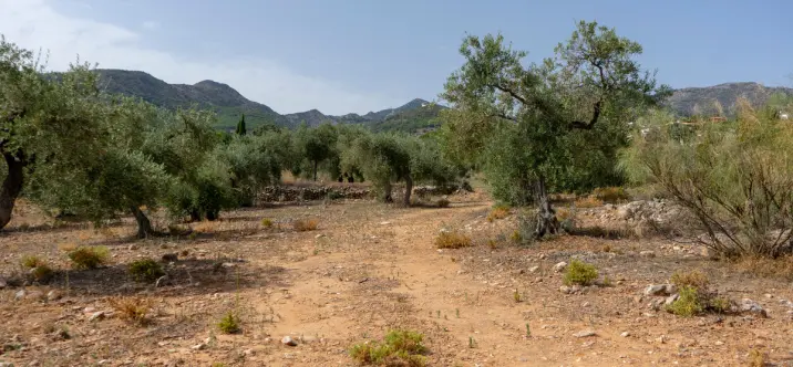 Жилой участок R3221725 3