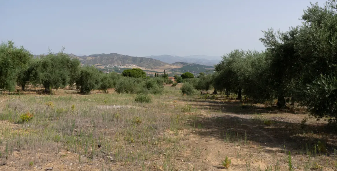 Продажа  жилого участка в Malaga (район Provincia de Málaga) 5