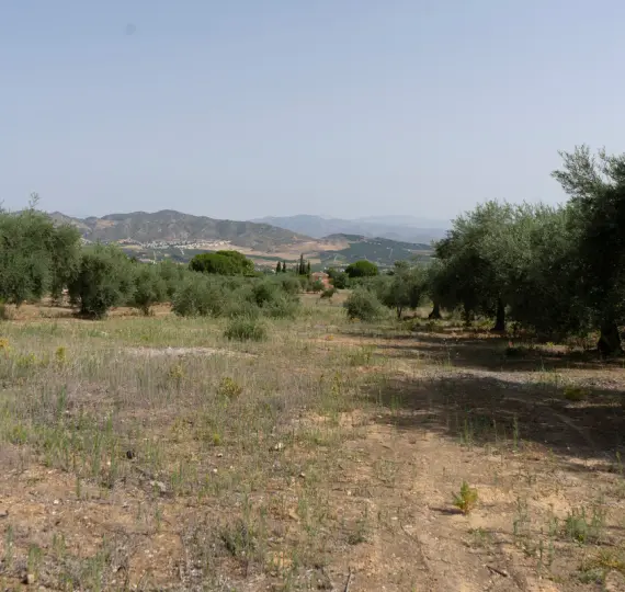 Жилой участок R3221725