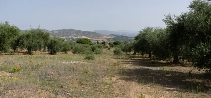 Жилой участок R3221725 4