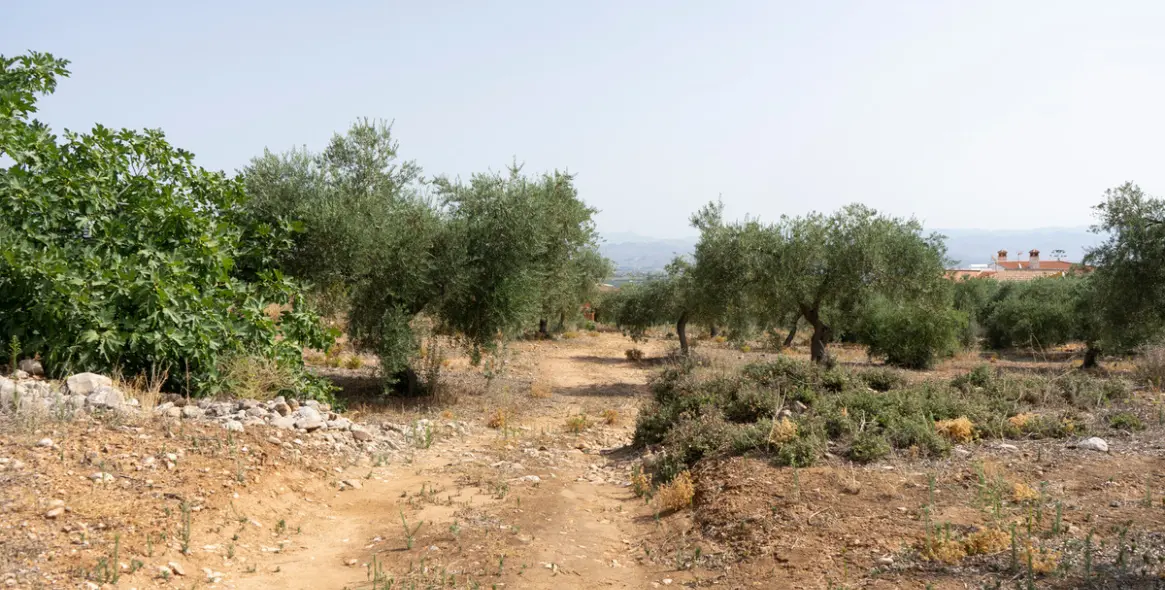 Продажа  жилого участка в Malaga (район Provincia de Málaga) 6