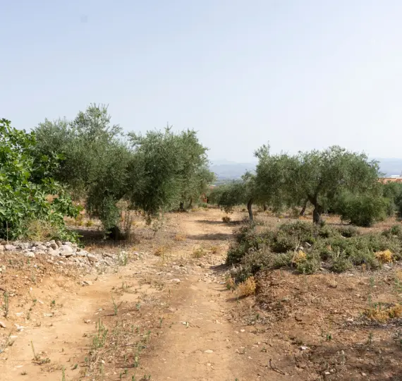 Жилой участок R3221725