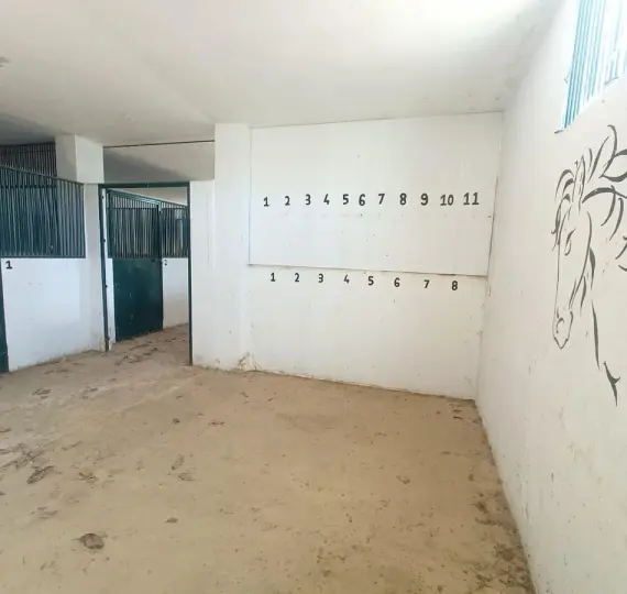 Продажа финки в Coín