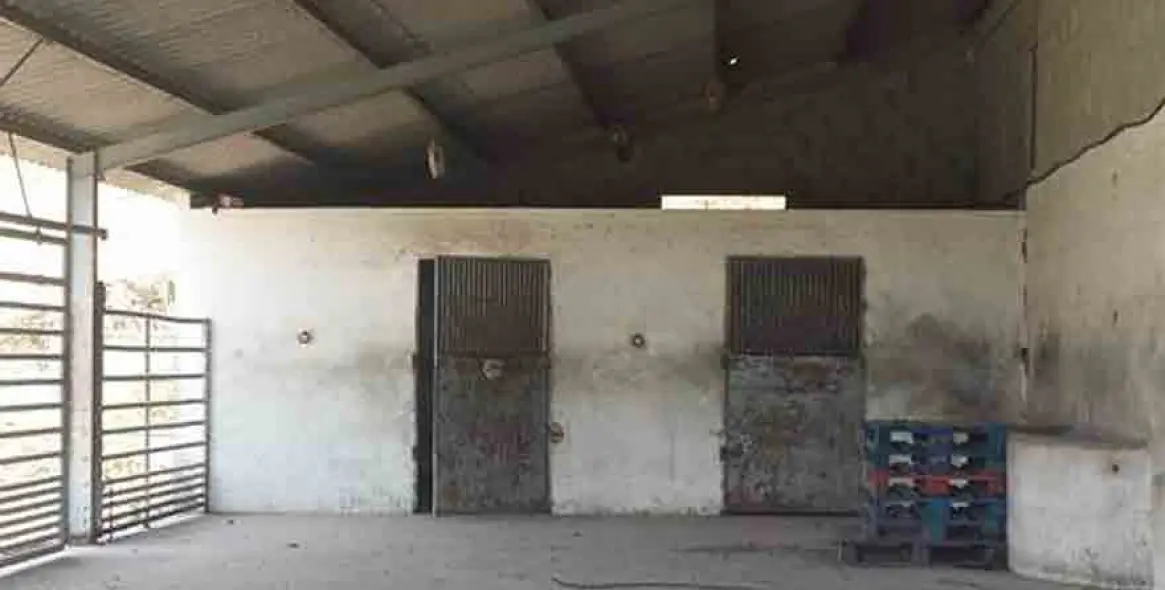 Venta de finca - cortijo en Coín 6