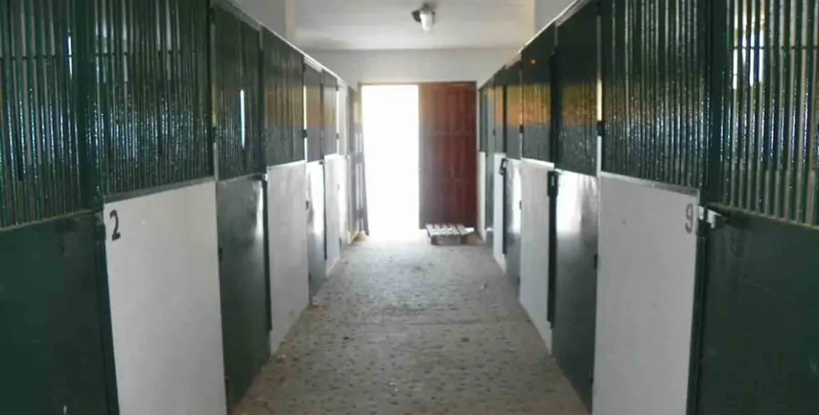 Venta de finca - cortijo en Coín 7