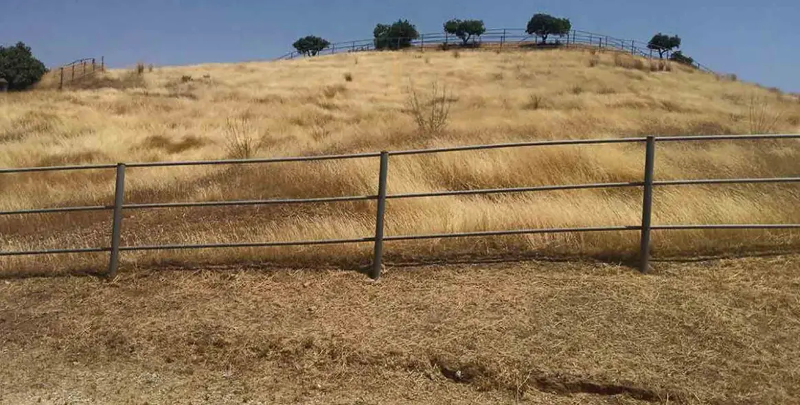 Venta de finca - cortijo en Coín 12