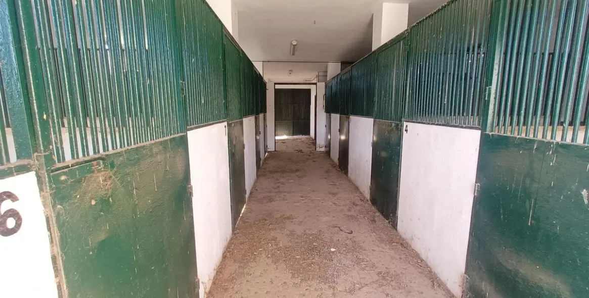 Venta de finca - cortijo en Coín 81