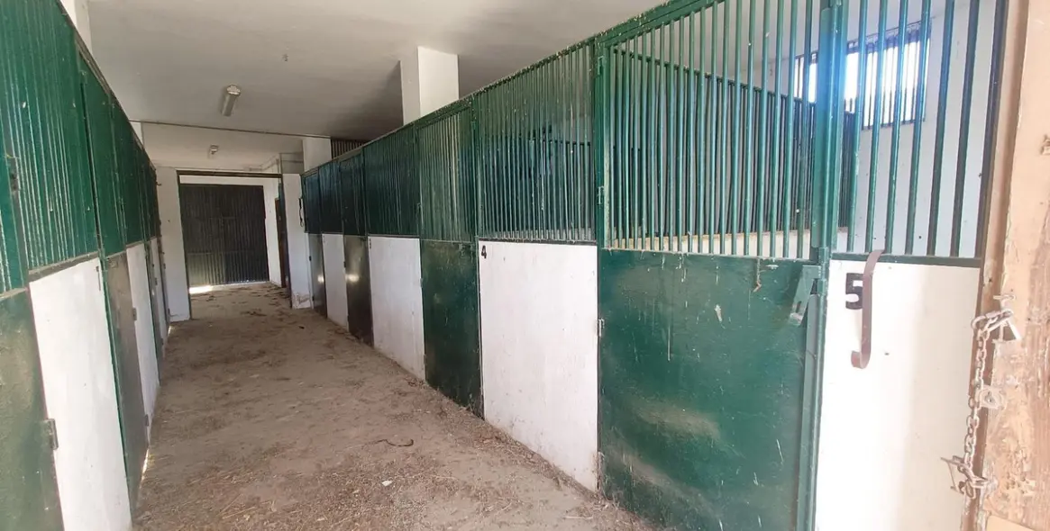 Venta de finca - cortijo en Coín 89