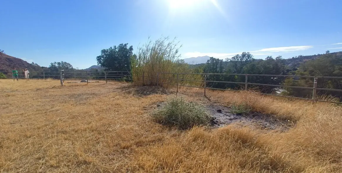 Venta de finca - cortijo en Coín 92