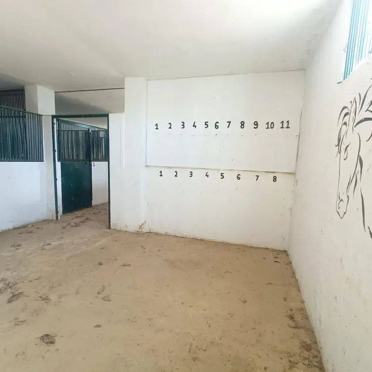 Sale of finca - cortijo in Coín