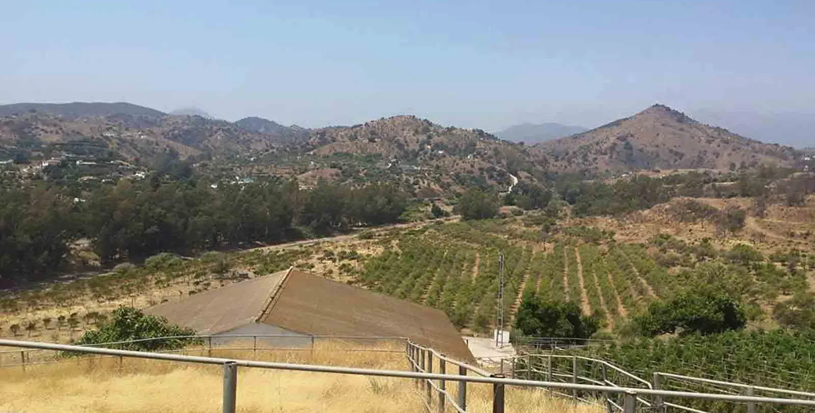 Sale of finca - cortijo in Coín 4