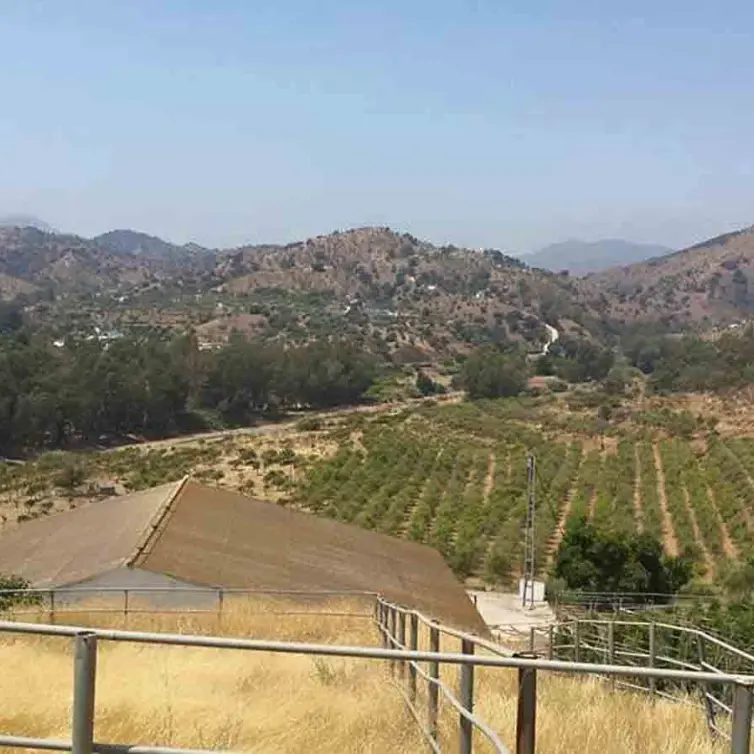 Sale of finca - cortijo in Coín