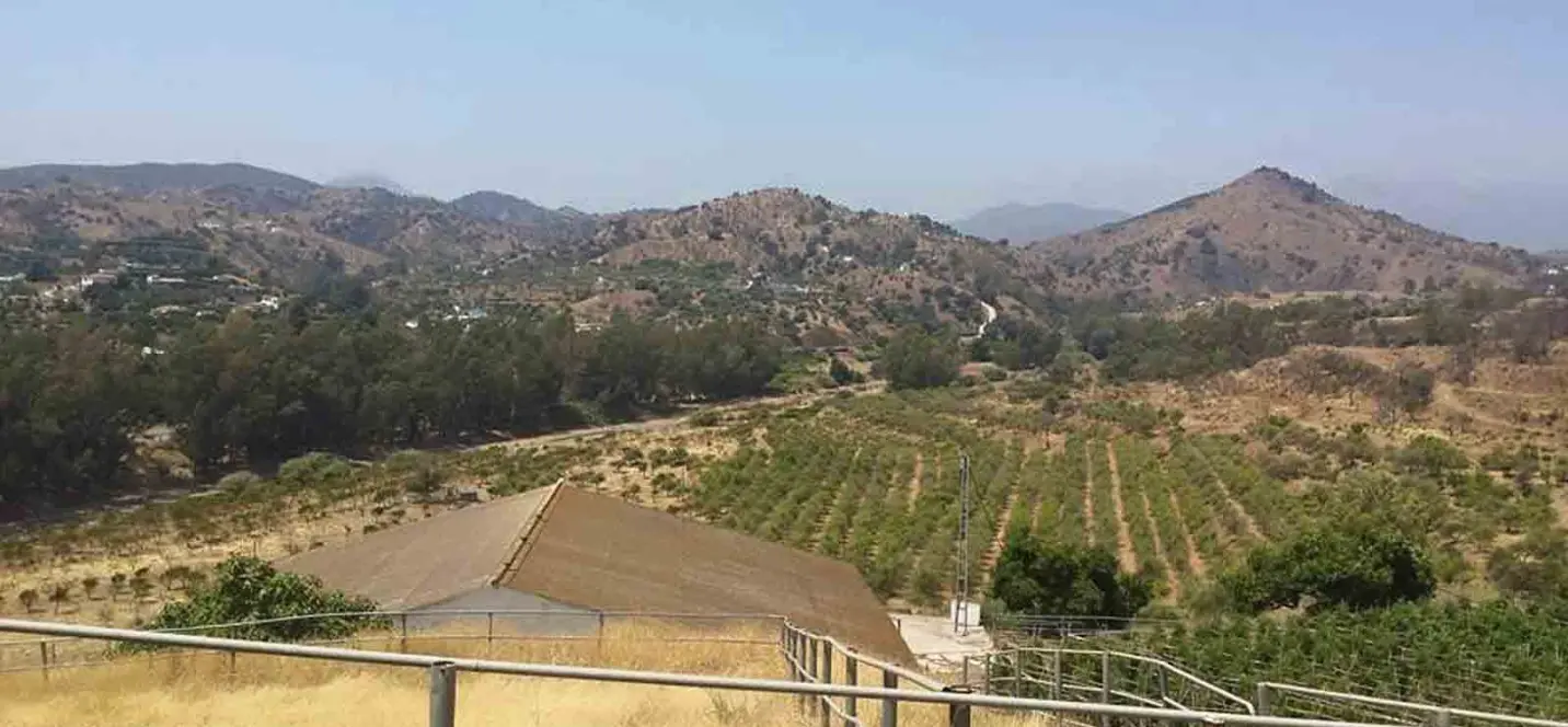 Sale of finca - cortijo in Coín 3