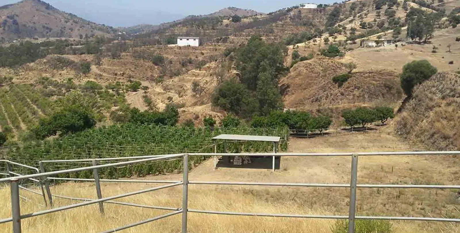 Sale of finca - cortijo in Coín 5