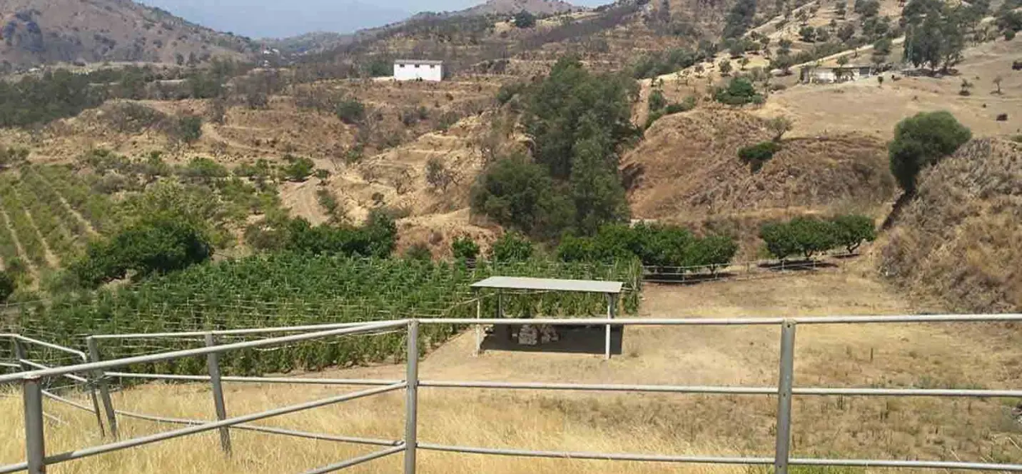 Sale of finca - cortijo in Coín 4