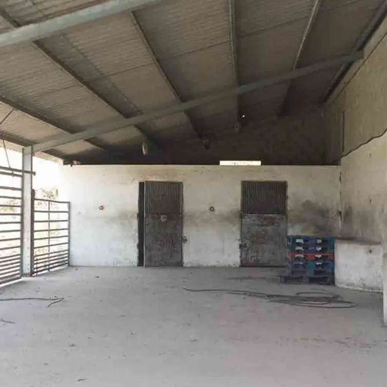 Sale of finca - cortijo in Coín