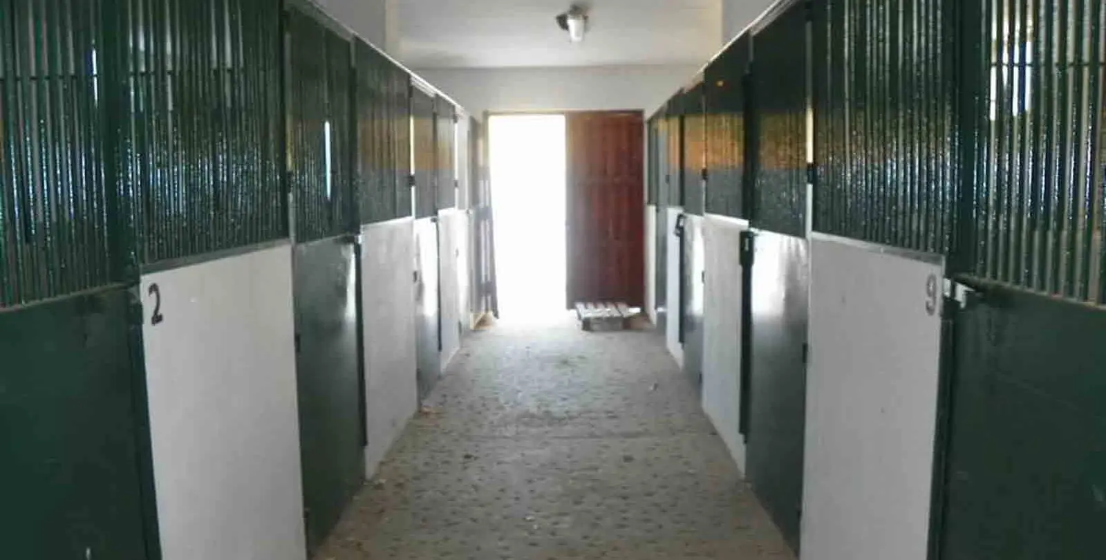 Sale of finca - cortijo in Coín 7