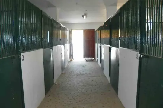 Image 7 thumb