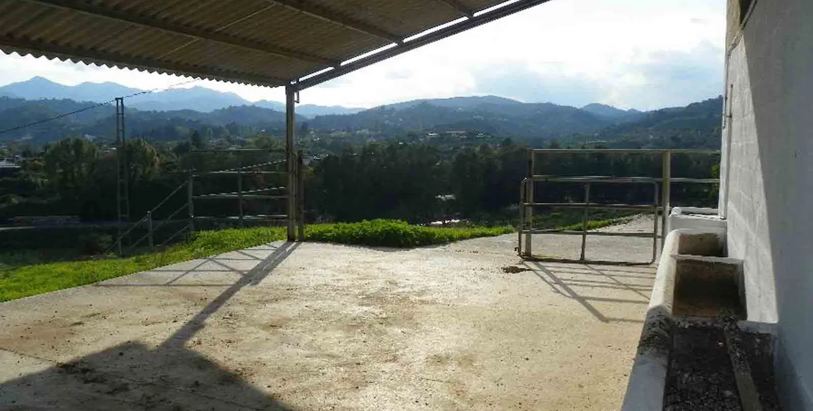 Sale of finca - cortijo in Coín 8