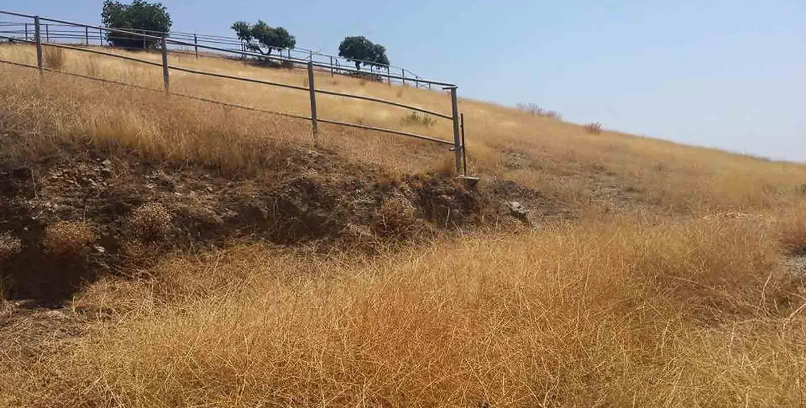 Sale of finca - cortijo in Coín 10