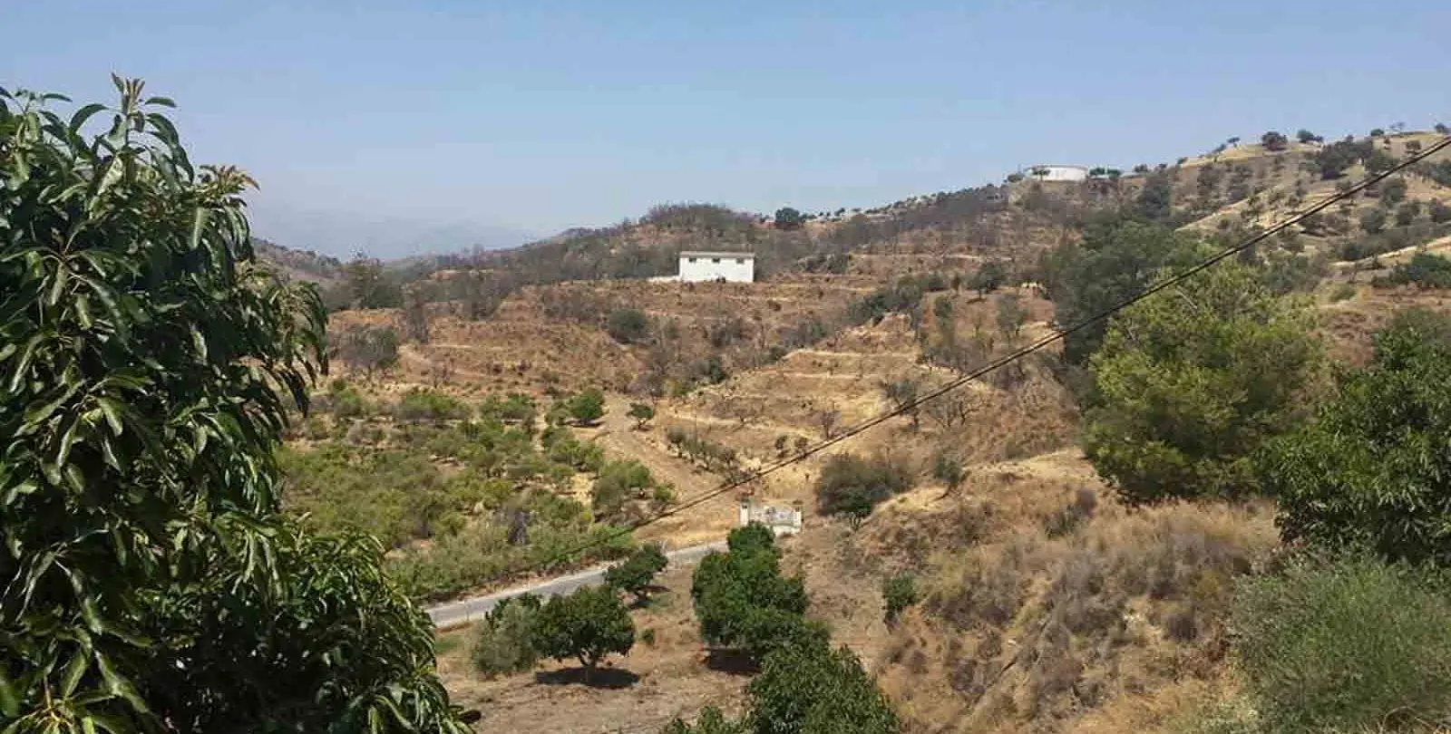 Sale of finca - cortijo in Coín 11