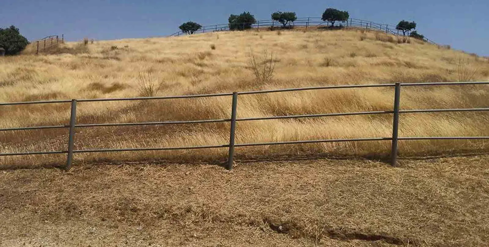 Sale of finca - cortijo in Coín 12