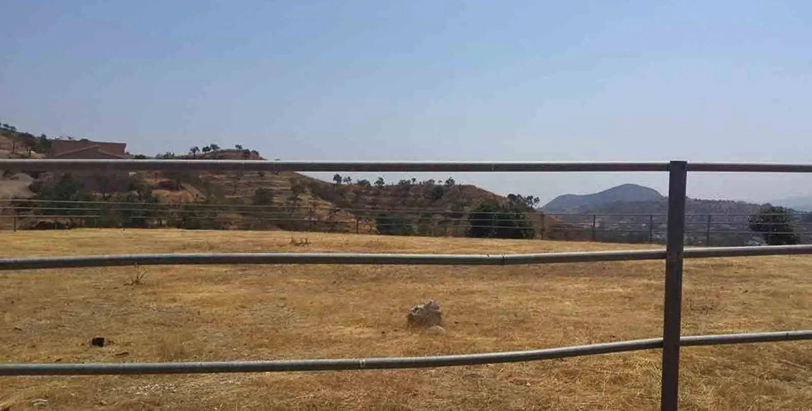 Sale of finca - cortijo in Coín 15