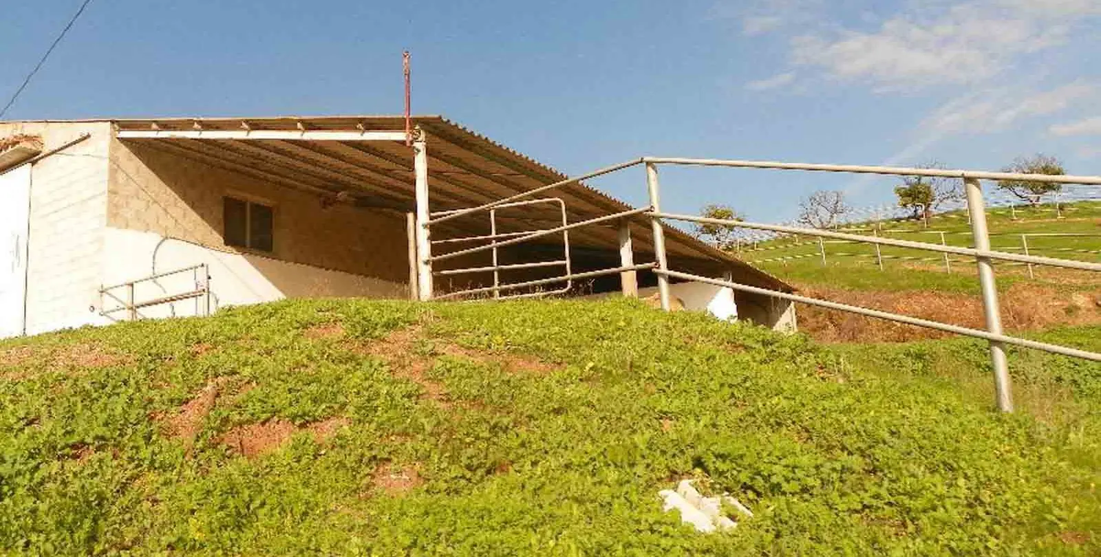 Sale of finca - cortijo in Coín 17