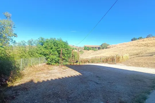 Image 71 thumb