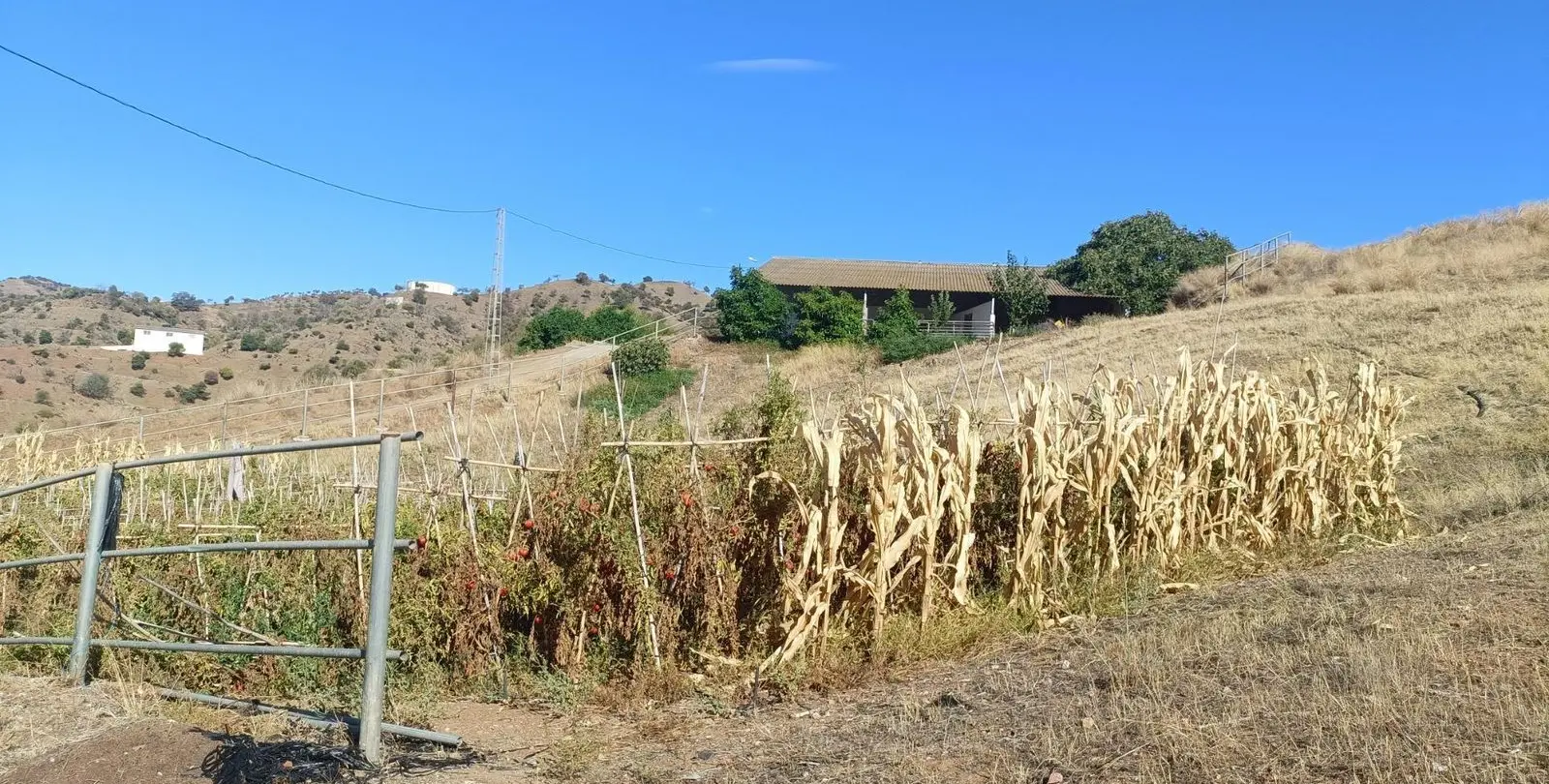 Sale of finca - cortijo in Coín 73