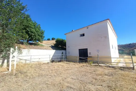 Image 93 thumb