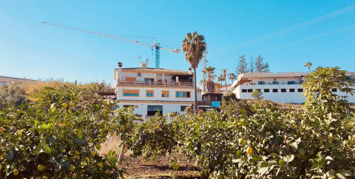 Sale of detached villa in Cancelada 2