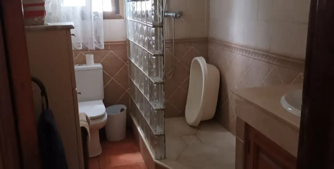 Продажа  отдельно стоящей виллы в Cancelada 29