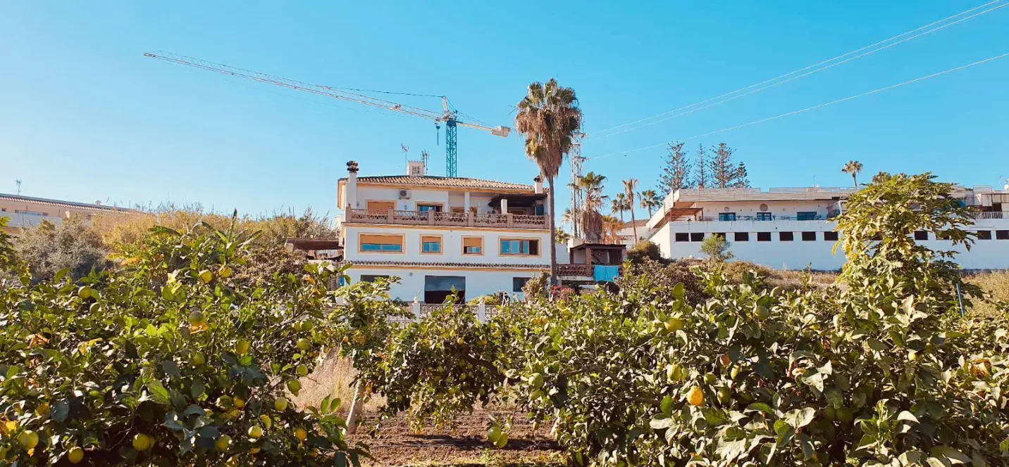 Sale of detached villa in Cancelada 1
