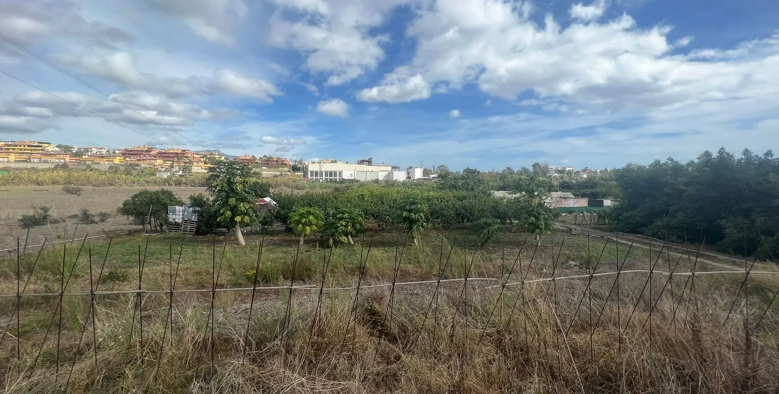 Sale of detached villa in Cancelada 23