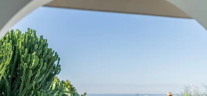 Продажа  отдельно стоящей виллы в Marbella 1