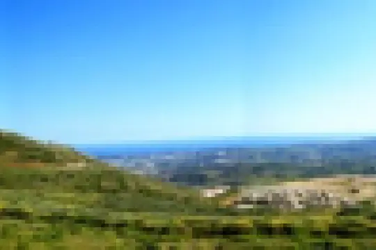 Image 2 thumb