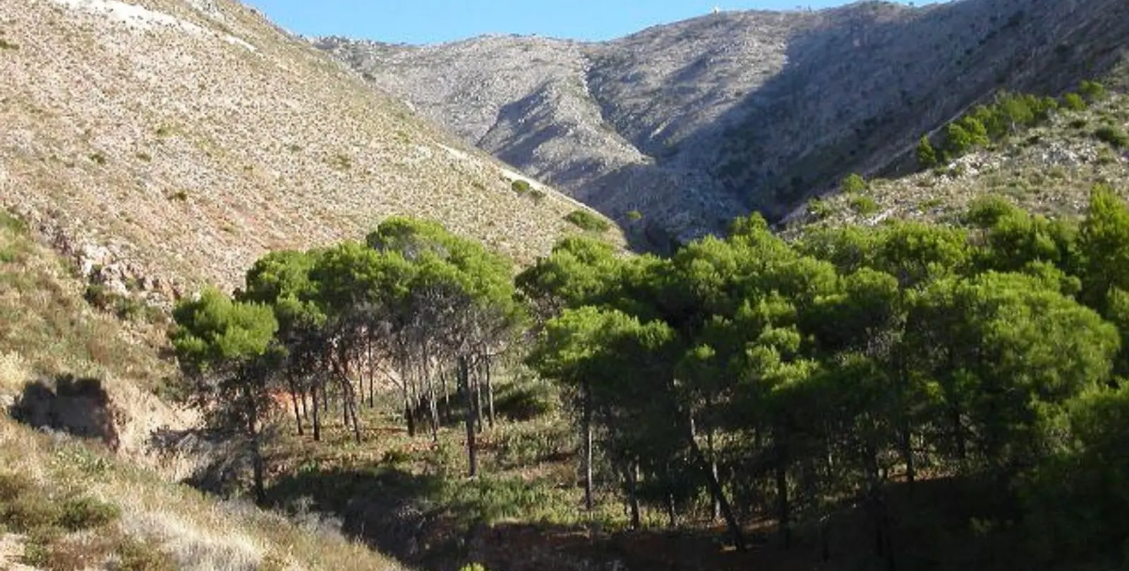 Venta de parcela residencial en Valtocado 3