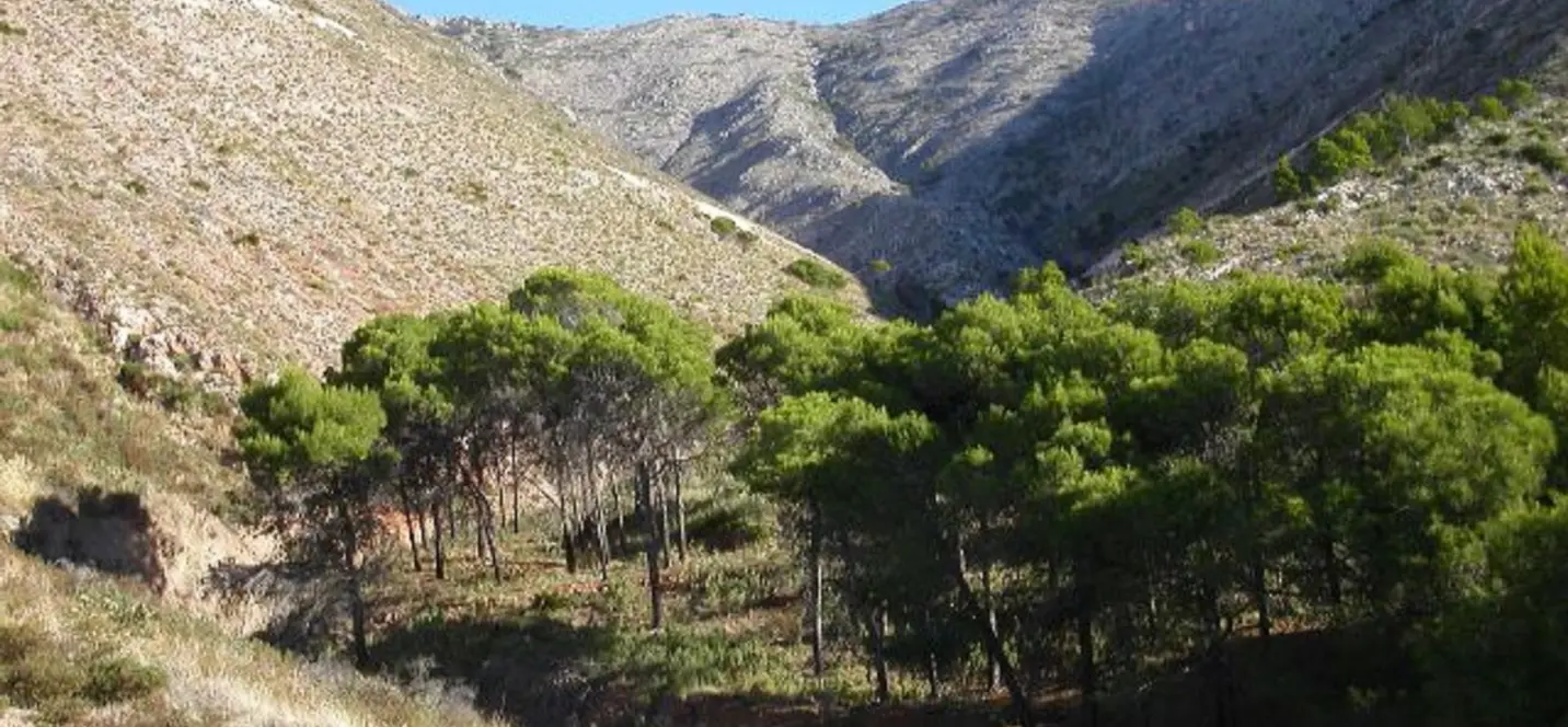 Venta de parcela residencial en Valtocado 2