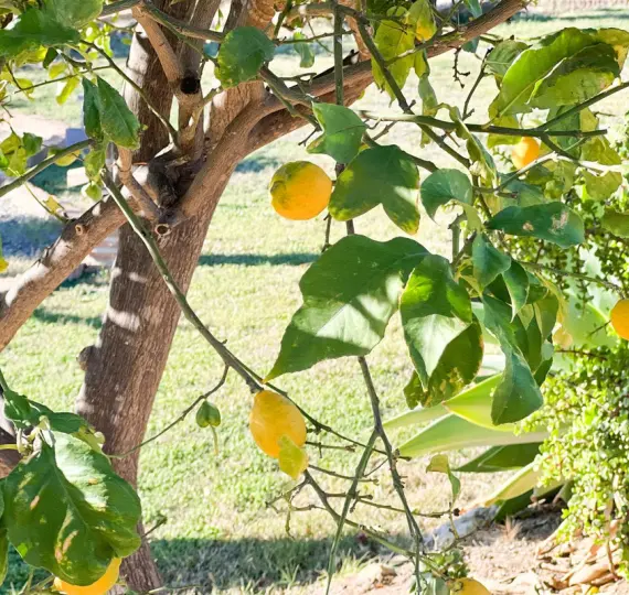 Venta de villa independiente en Estepona