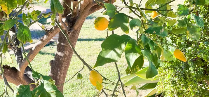 Venta de villa independiente en Estepona 2