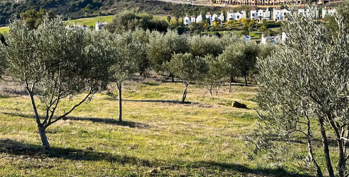 Продажа  отдельно стоящей виллы в Estepona 50