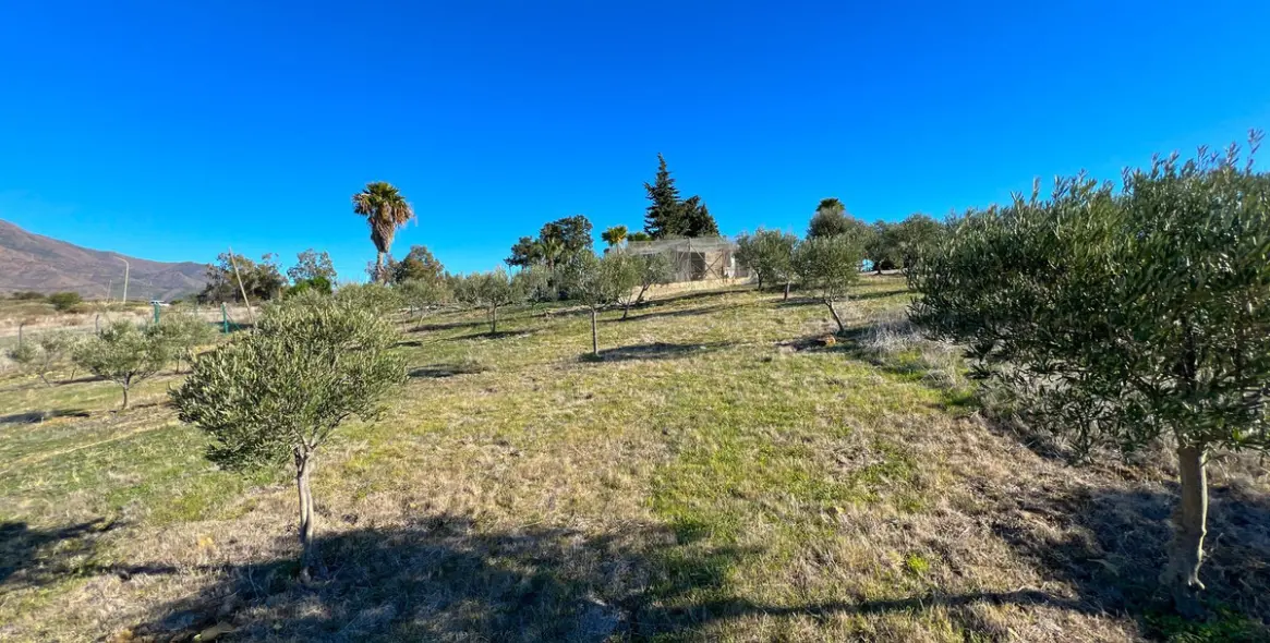 Продажа  отдельно стоящей виллы в Estepona 51