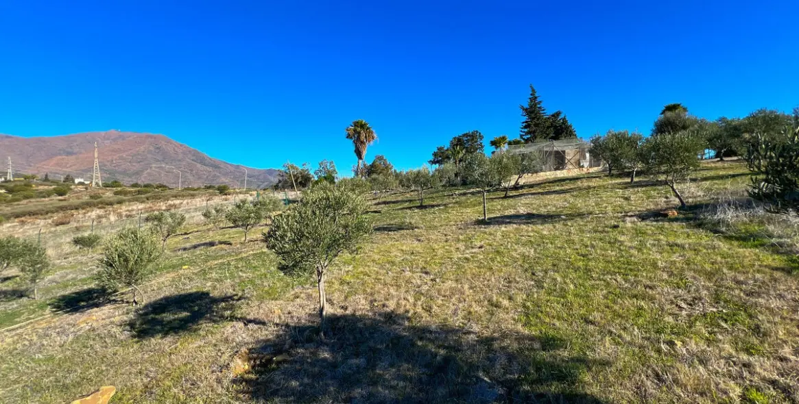 Продажа  отдельно стоящей виллы в Estepona 52