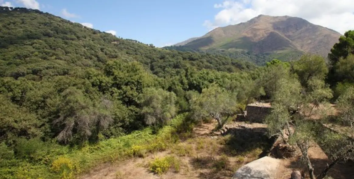Long-term rent of finca - cortijo in Casares 1