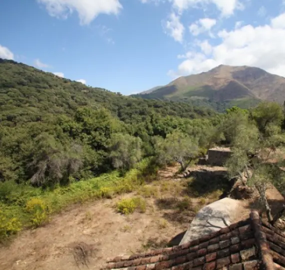 Long-term rent of finca - cortijo in Casares