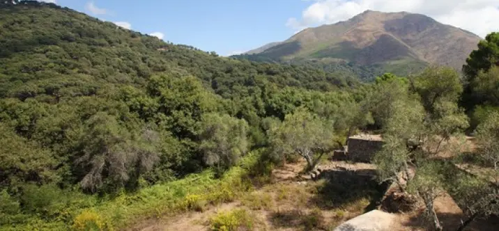 Long-term rent of finca - cortijo in Casares 0