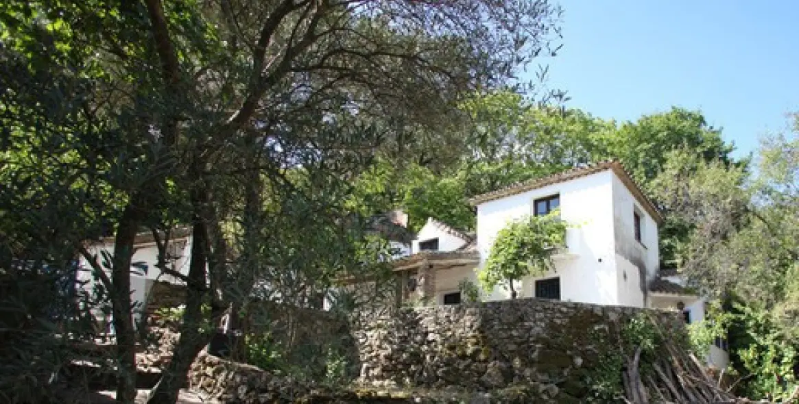 Long-term rent of finca - cortijo in Casares 6