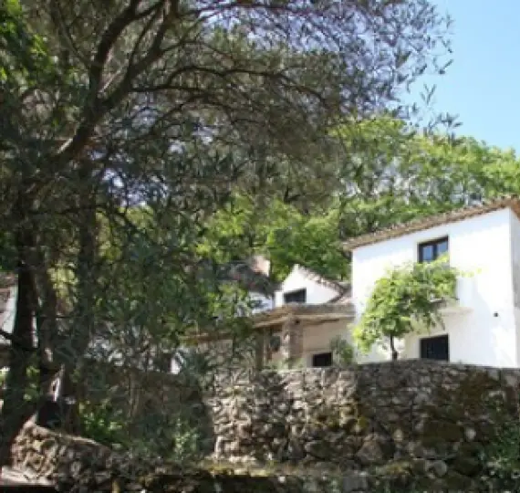 Long-term rent of finca - cortijo in Casares